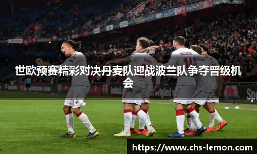 世欧预赛精彩对决丹麦队迎战波兰队争夺晋级机会